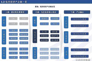 湖人VS鹈鹕述评：胖虎最灿烂时伤退意难平 多持球点红利反哺詹眉